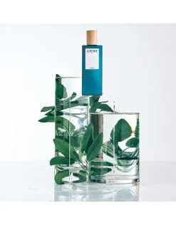 7 Cobalt Eau de Parfum