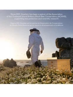 Abeille Royale Bee Glow Youth Moisturizer