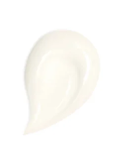 Abeille Royale Honey Treatment Day Cream