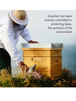 Abeille Royale Scalp & Hair Care Brush