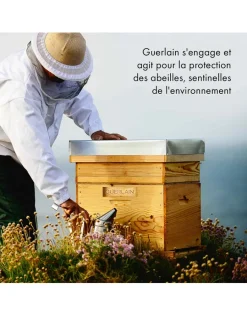 Abeille Royale Scalp & Hair Care Brush