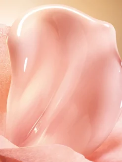 Absolue Soft Cream Gift Set ($488 Value)