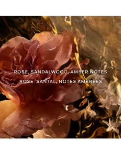 Absolus Allegoria Santal Royal Eau de Parfum