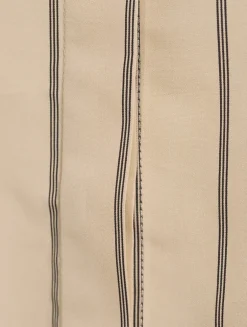 Addy Cotton Silk Poplin Shirt In Stripe Print