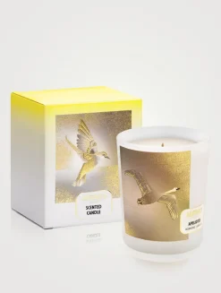 Apeliotes Scented Candle