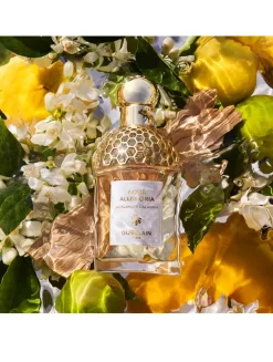 Aqua Allegoria Bergamote Calabria Eau de Toilette