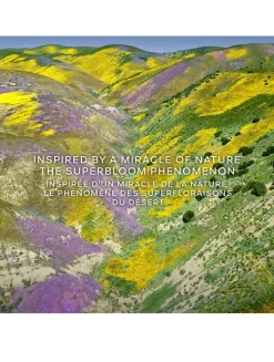 Aqua Allegoria Florabloom Eau de Toilette Refill