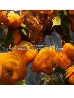 Aqua Allegoria Forte Mandarine Basilic Eau de Parfum