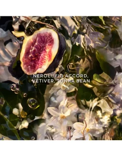 Aqua Allegoria Forte Nerolia Vetiver Eau de Parfum - Refill