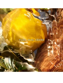 Aqua Allegoria Forte Oud Yuzu Eau de Parfum