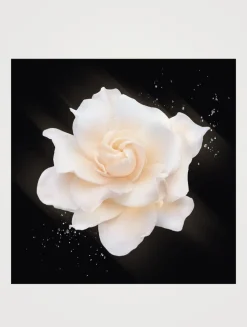 Armani/Privé Gardénia Antigua Eau de Toilette