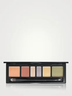 Artist Concealer Palette