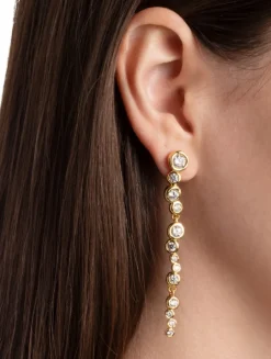 Asterales Cascading Earrings