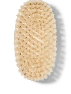 Body Brush - Medium