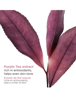 Bright Plus [Advanced] Serum-in-Lotion