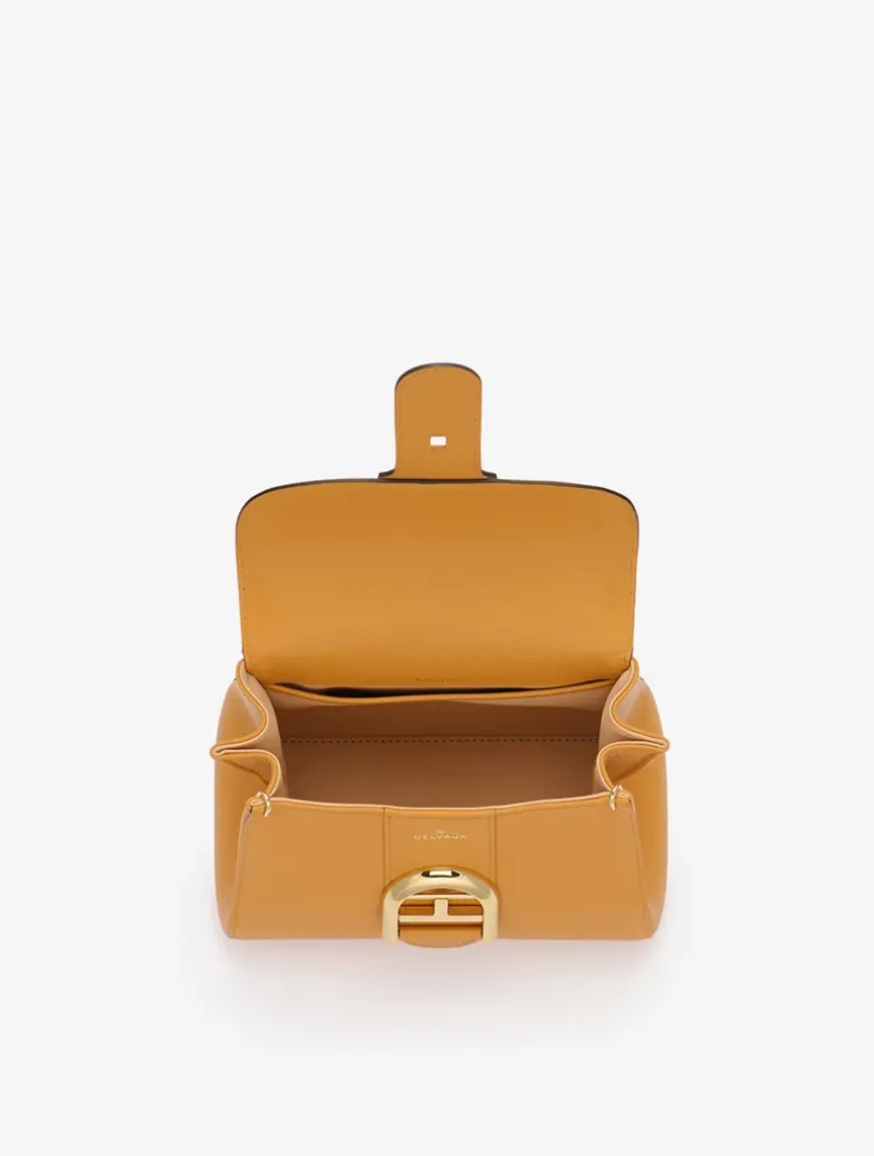 Brillant Mini S Rodéo Calf