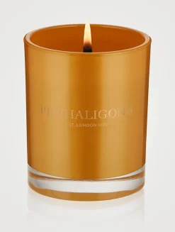Callsaya Bark Candle