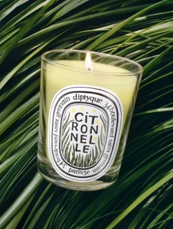 Citronnelle (Lemongrass) Scented Candle - Limited Edition