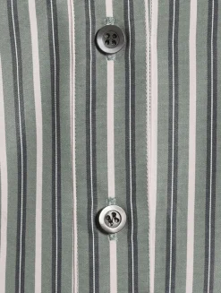 Corsala Poplin Shirt In Stripe Print