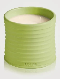 Cucumber Candle