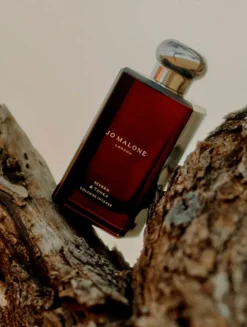 Cypress and Grapevine Set