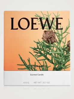 Cypress Balls Candle