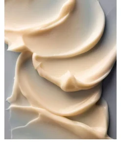 Dream Bio-Retinol + Shorea Butter Night Cream