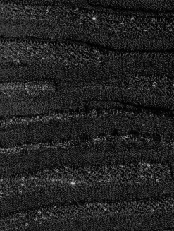 Embellished Strapless Dress