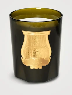 Ernesto Great Candle