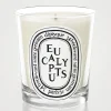 Eucalyptus Scented Candle