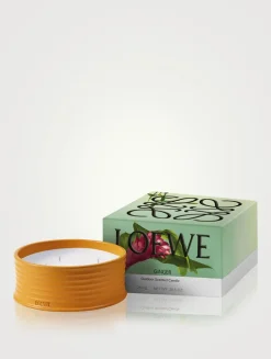 Ginger Outdoor Candle