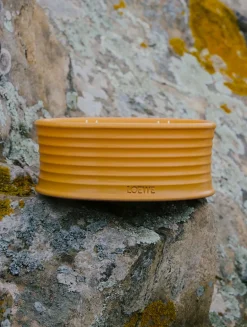 Ginger Outdoor Candle