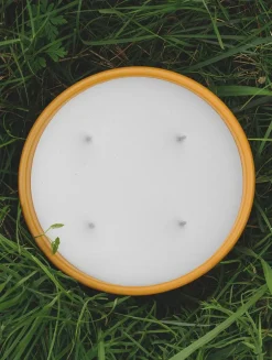 Ginger Outdoor Candle