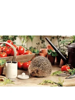 Green Tomato Vine Candle