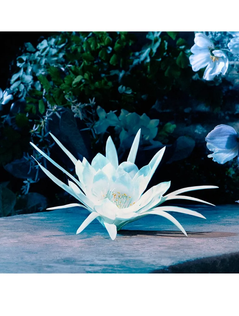 Gucci Bloom Intense Eau de Parfum