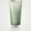 Heartleaf Quercetinol Pore Deep Cleansing Foam