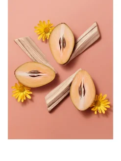 Hermesistible Lip Oil