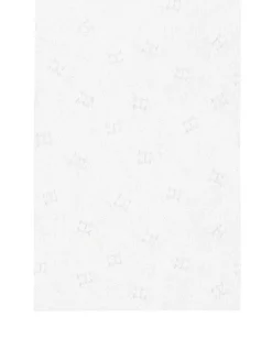 Hermès Plein Air Blotting Papers