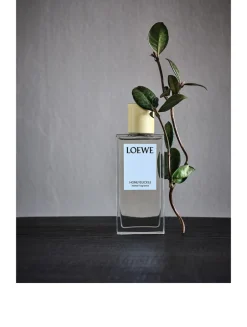 Honeysuckle Home Fragrance