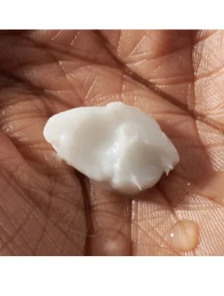 Humidifying Face Cream