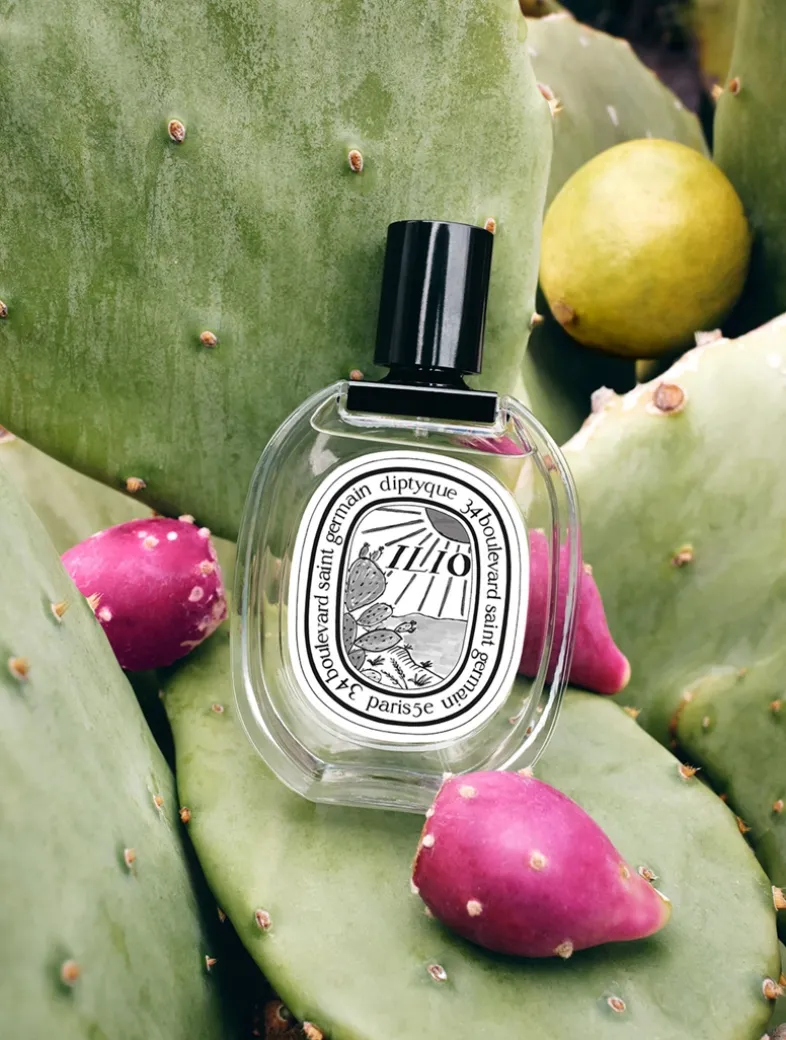 Ilio Eau de Toilette