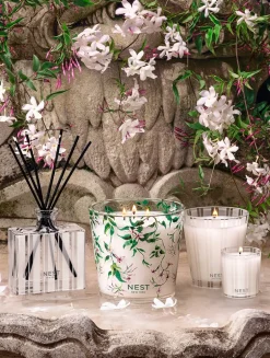 Indian Jasmine Classic Candle