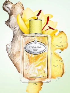 Infusion de Gingembre Eau de Parfum