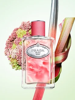 Infusion de Rhubarbe Eau de Parfum