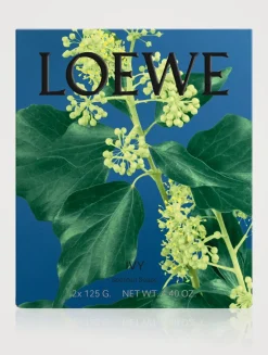 Ivy Small Solid Soap Duo Set