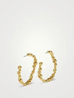 Large Asterales Hoop Earrings