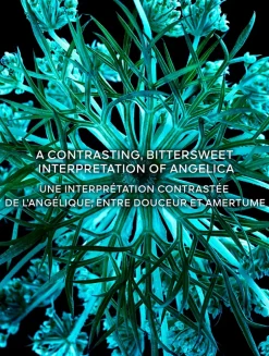 L'Art & La Matière Angélique Noire Eau de Parfum