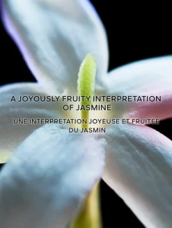 L'Art & La Matière Jasmin Bonheur Eau de Parfum