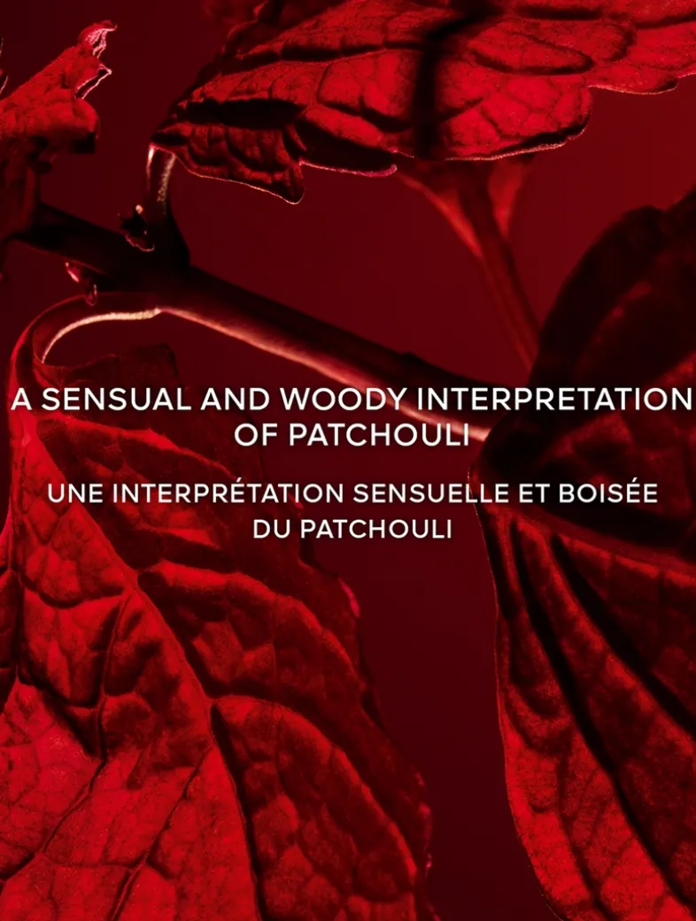 L'Art & La Matière Patchouli Paris Eau de Parfum