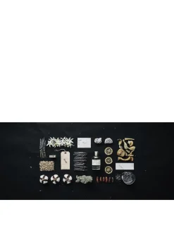 Lavande 31 Eau de Parfum